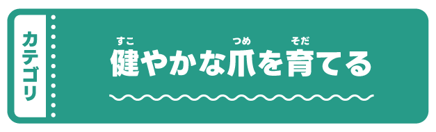 �n�C�|�j�L�E���P�A