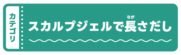�X�J���v�W�F���Œ�������