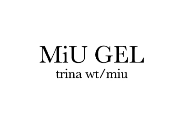 MiUGELセミナー