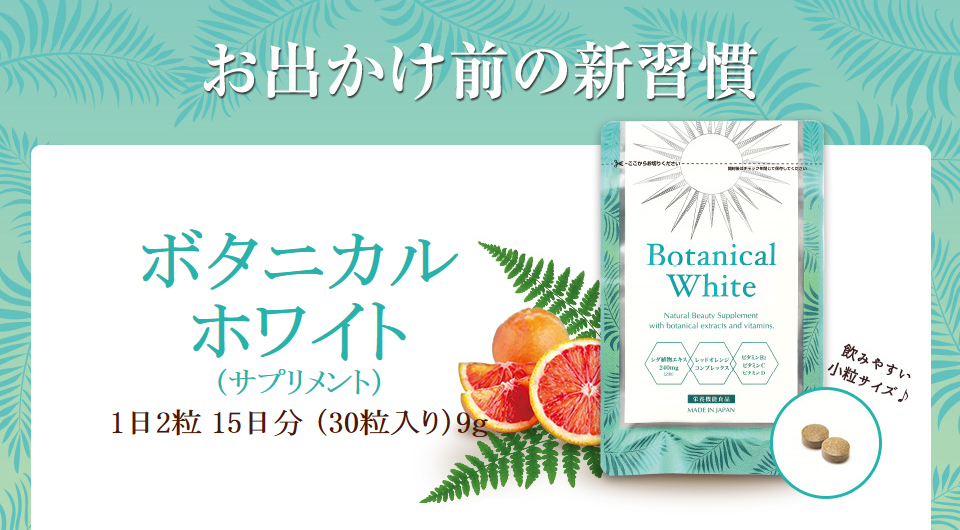 ライフスタイルグッズピカティース