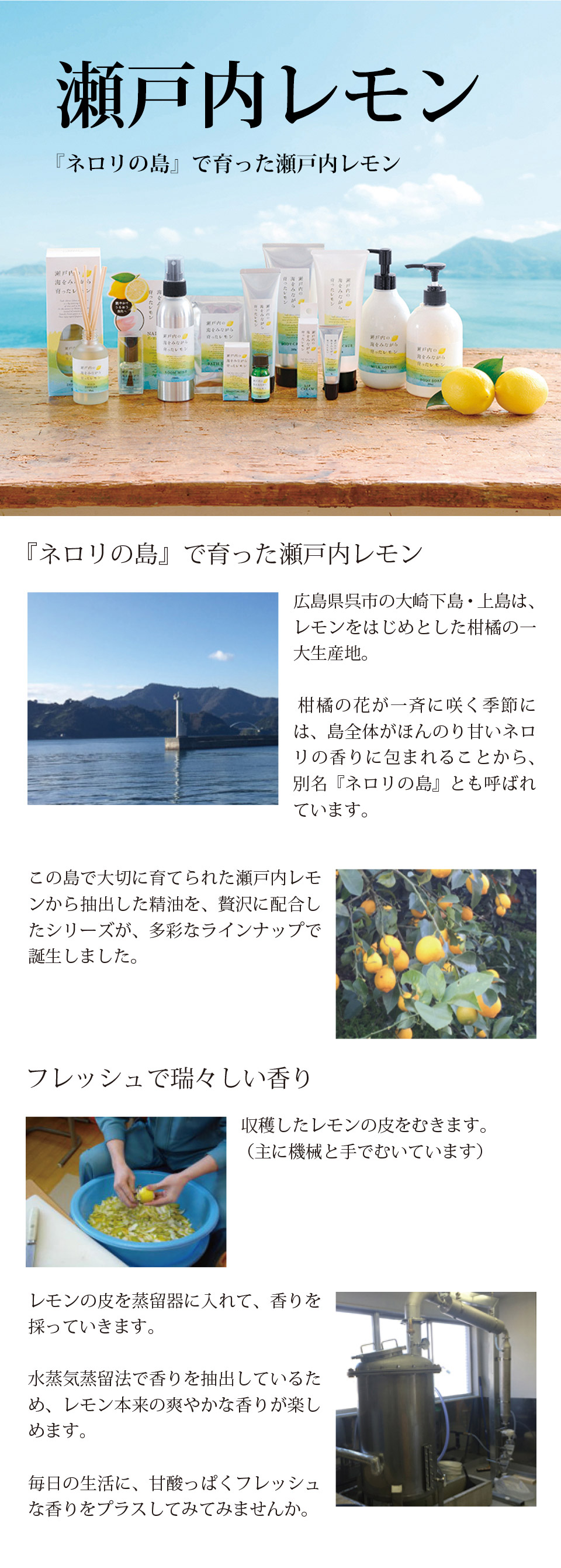 ���̑��̃A�C�e��