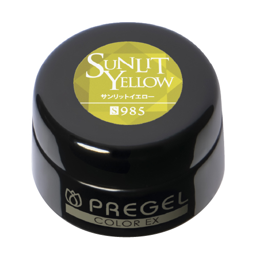 PREGEL �J���[EX 985�T�����b�g�C�G���[
