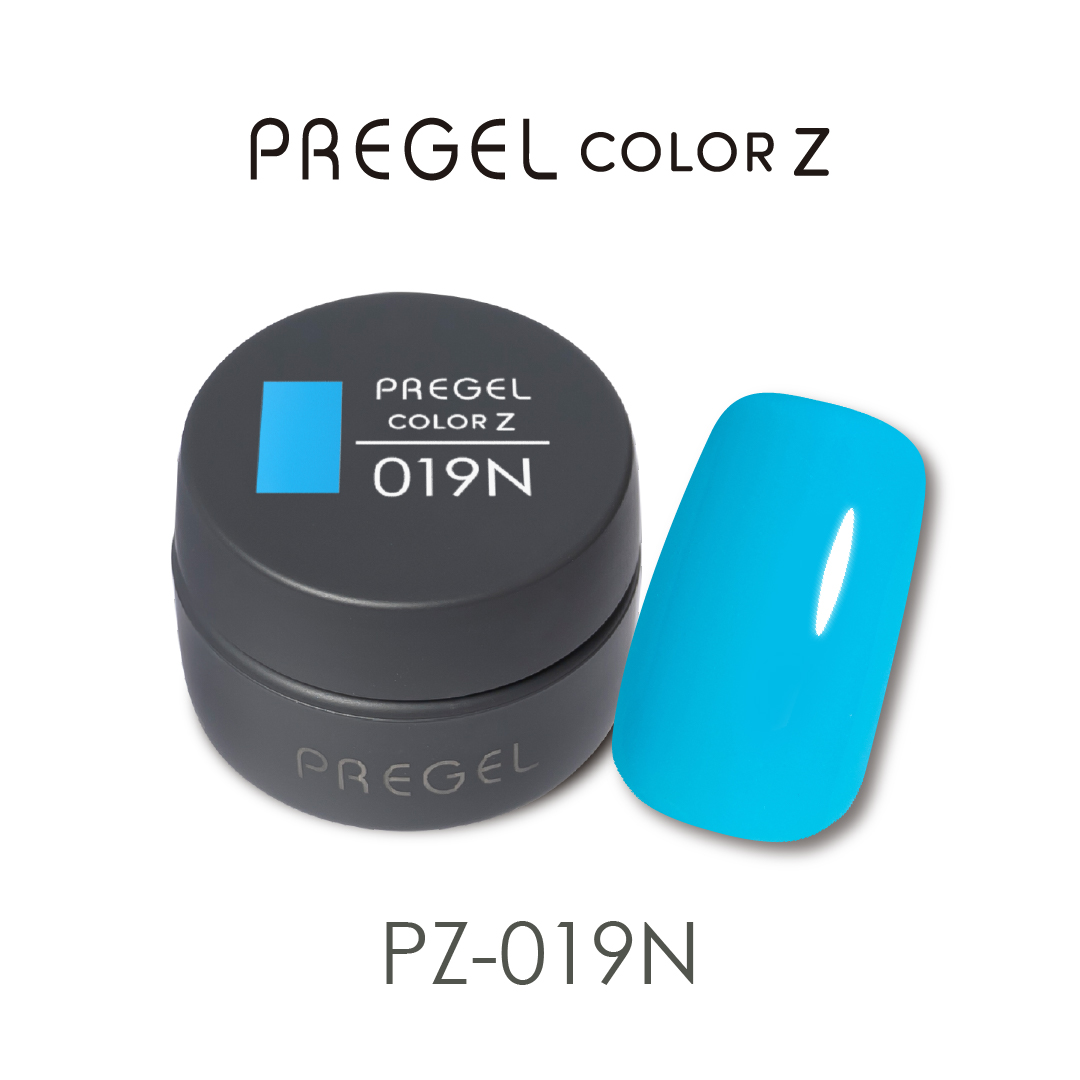 PREGEL �J���[Z 019N