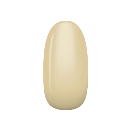 �n�C�G���h�J���[