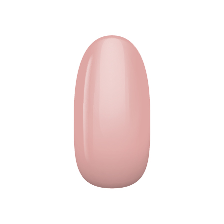 �n�C�G���h�J���[