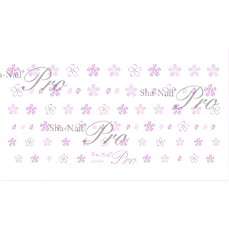 ��Plus