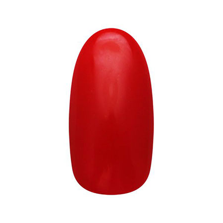 ZACCA by Nail Parfait 
