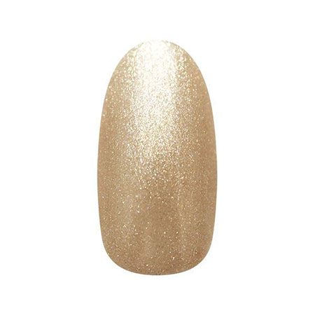 ZACCA by Nail Parfait 