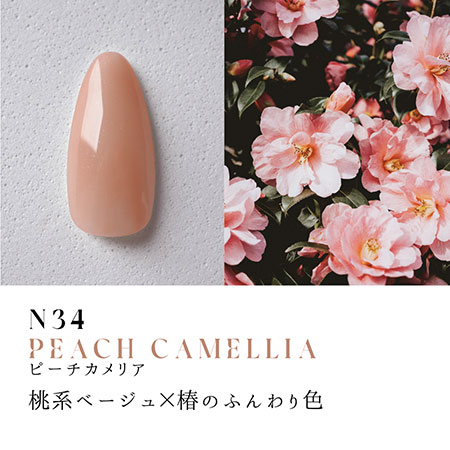 TAT - Dna Gel - カラージェル