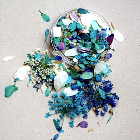 everlasting flower