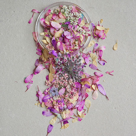 everlasting flower