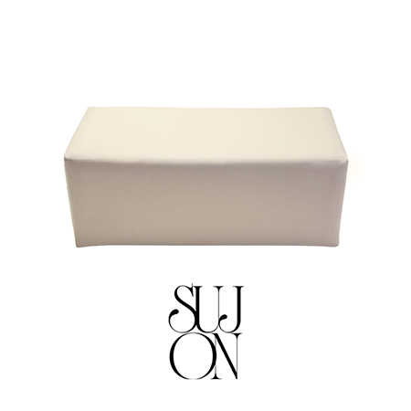 �X�W���� �A�[�����X�g