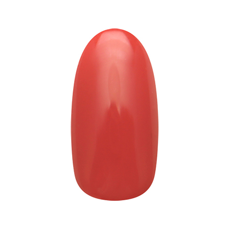 ZACCA by Nail Parfait 