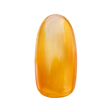 ZACCA by Nail Parfait