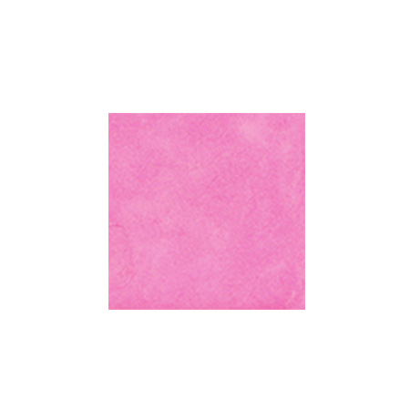 �s�J�G�[�X �~���� �g���C���C�g