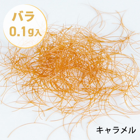 �L�����������R�ہy�o���^�C�v�z